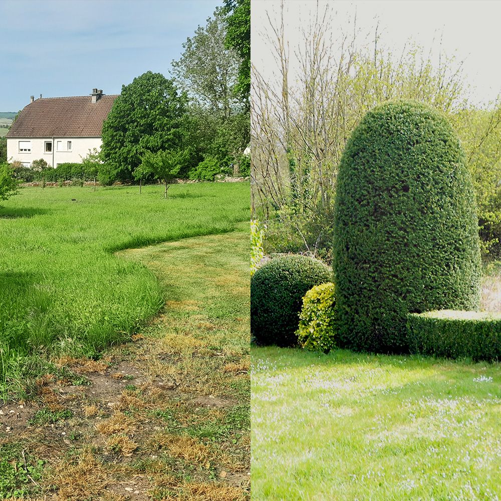 Paysagiste en haute-marne. Tonte, élagage, jardin, parc, taille